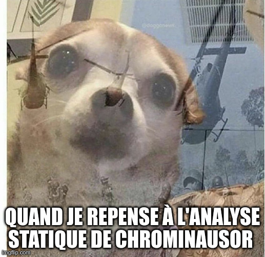 PTSD Chihuahua meme - When I remember static analysis of Chrominausor